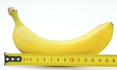 La taille optimale du pénis