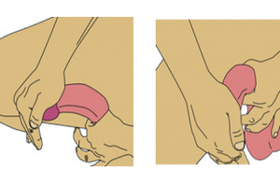 plier le pénis pour l'agrandir